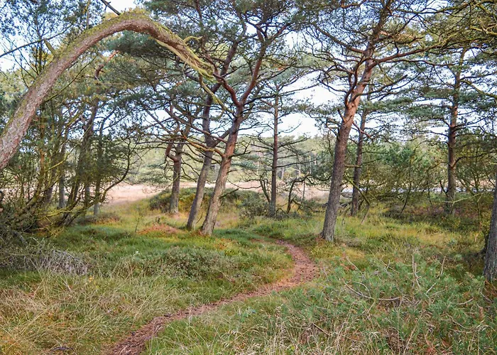 Dyssebjergvej Romo Denm